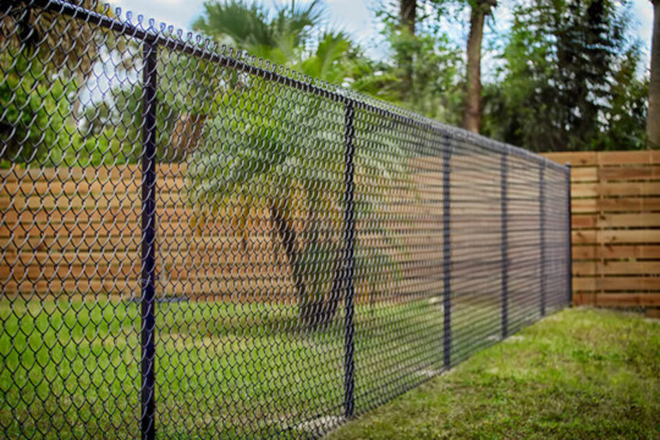 Chainlink Fences